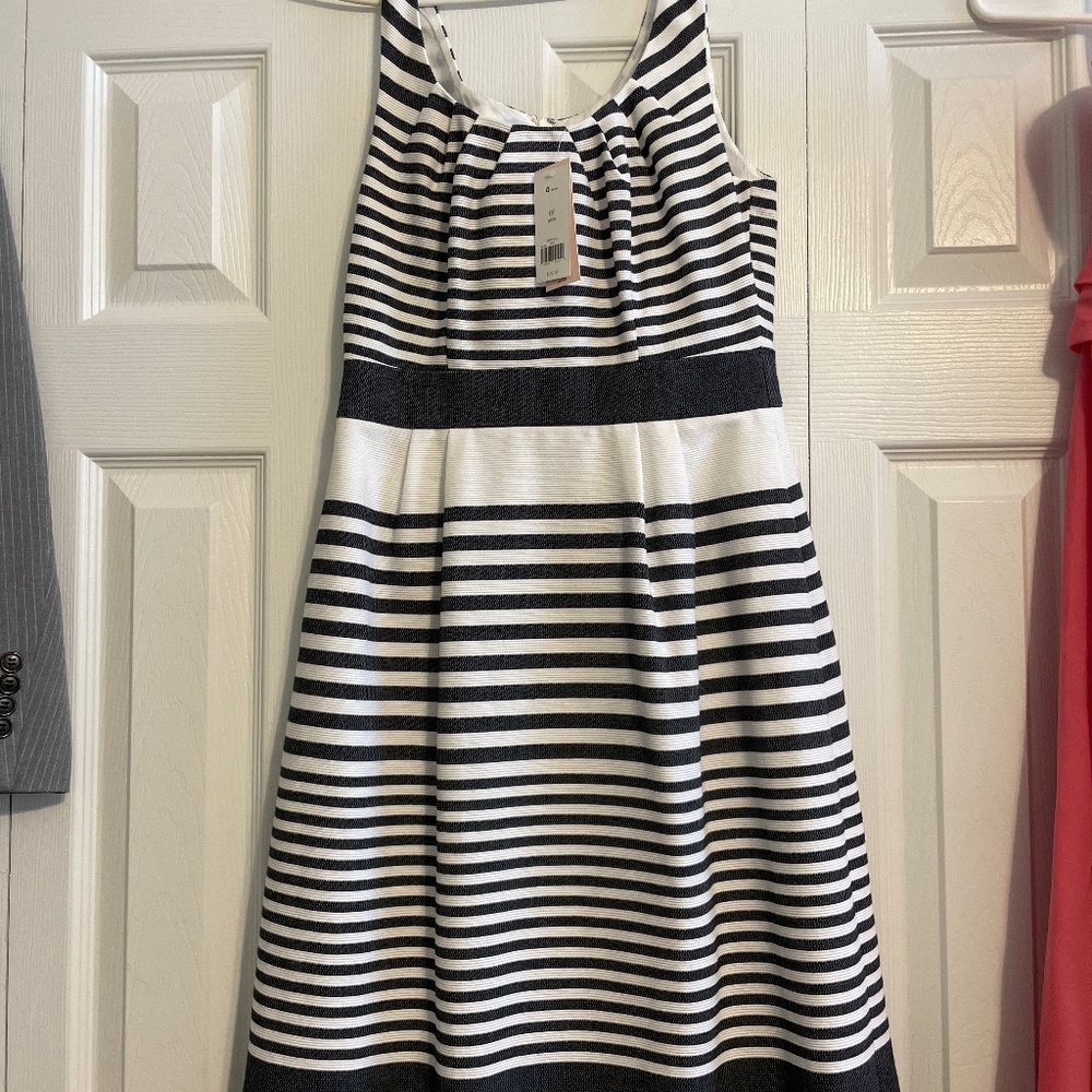 Banana Republic Striped Dress